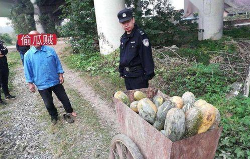 文安吃瓜事件网红,网红引发的网络狂欢与反思  第3张